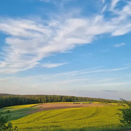 Waldhotel Am Turm Apartment Burgholz