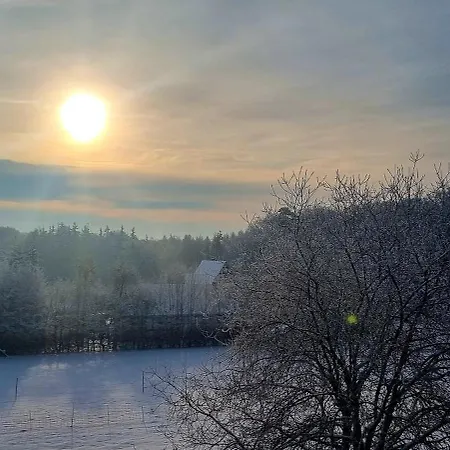 Apartment Waldhotel Am Turm 3*