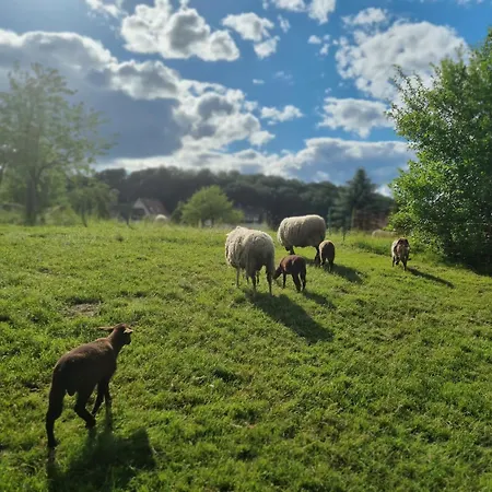 Waldhotel Am Turm Burgholz