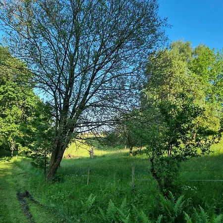 Waldhotel Am Turm Apartment 3*