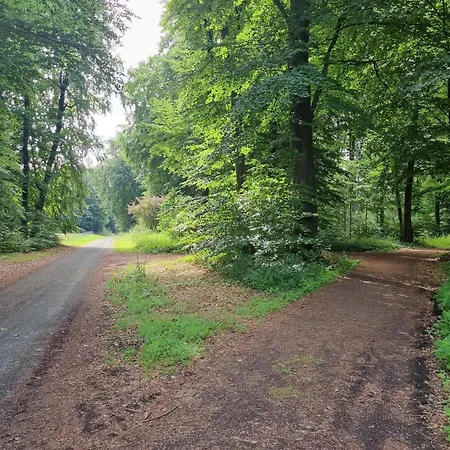 Waldhotel Am Turm شقة 3*